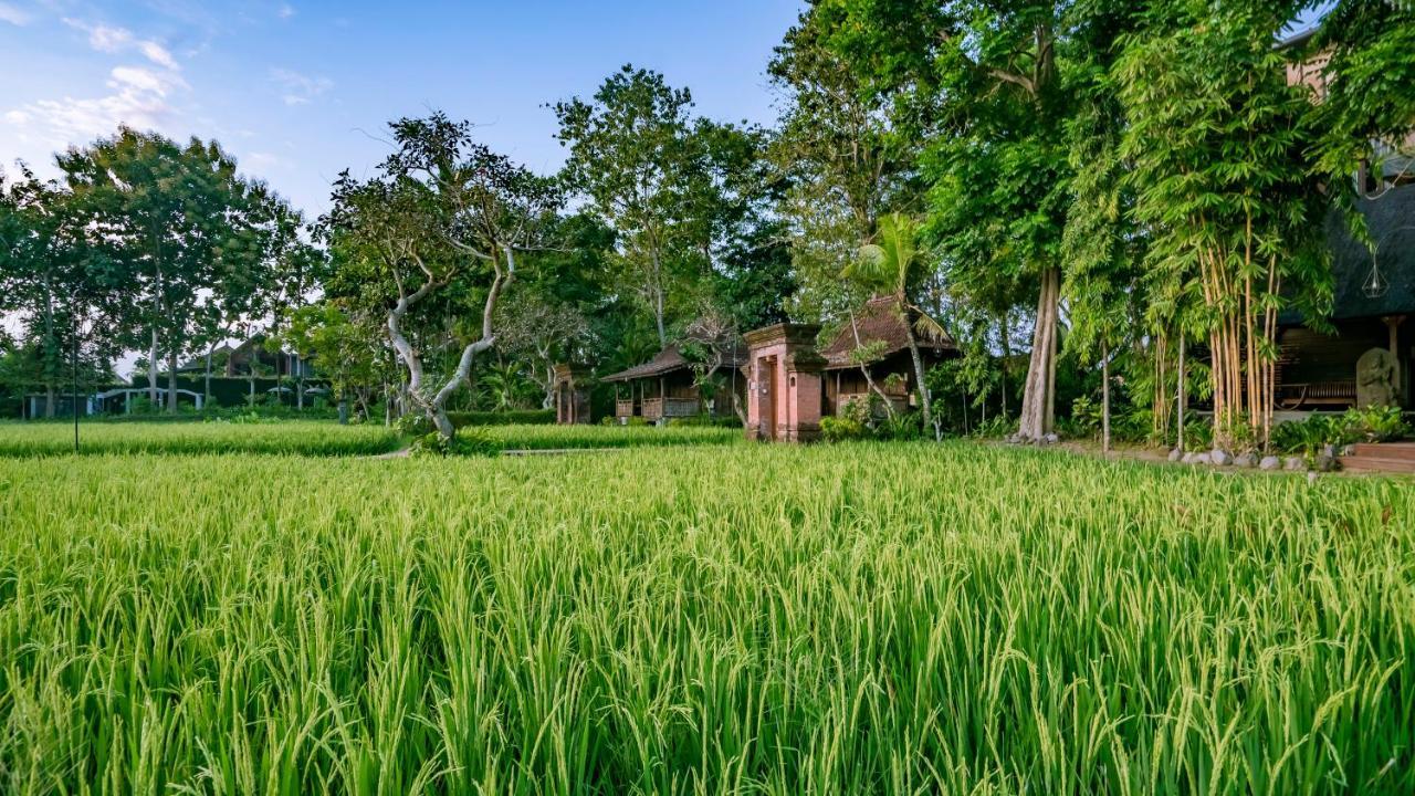 Hotel Kajane Yangloni At Ubud Zewnętrze zdjęcie