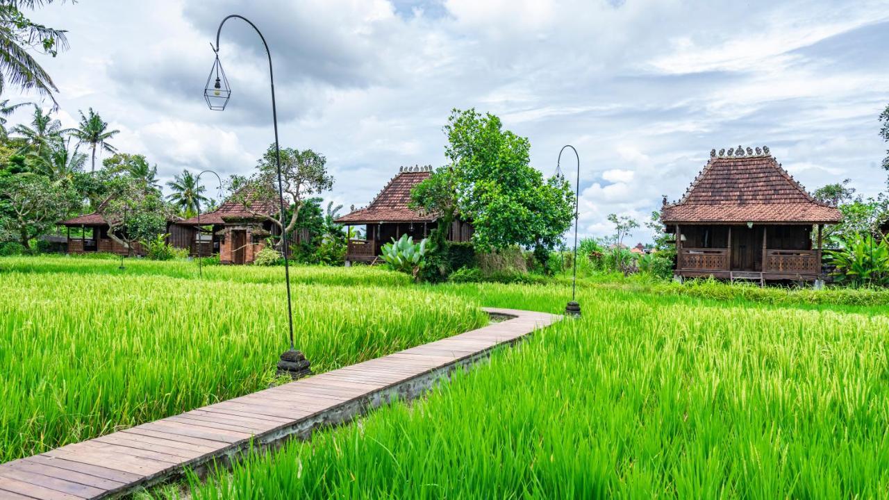 Hotel Kajane Yangloni At Ubud Zewnętrze zdjęcie