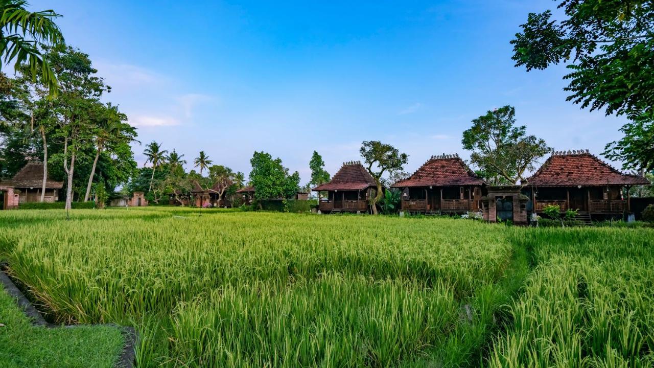 Hotel Kajane Yangloni At Ubud Zewnętrze zdjęcie