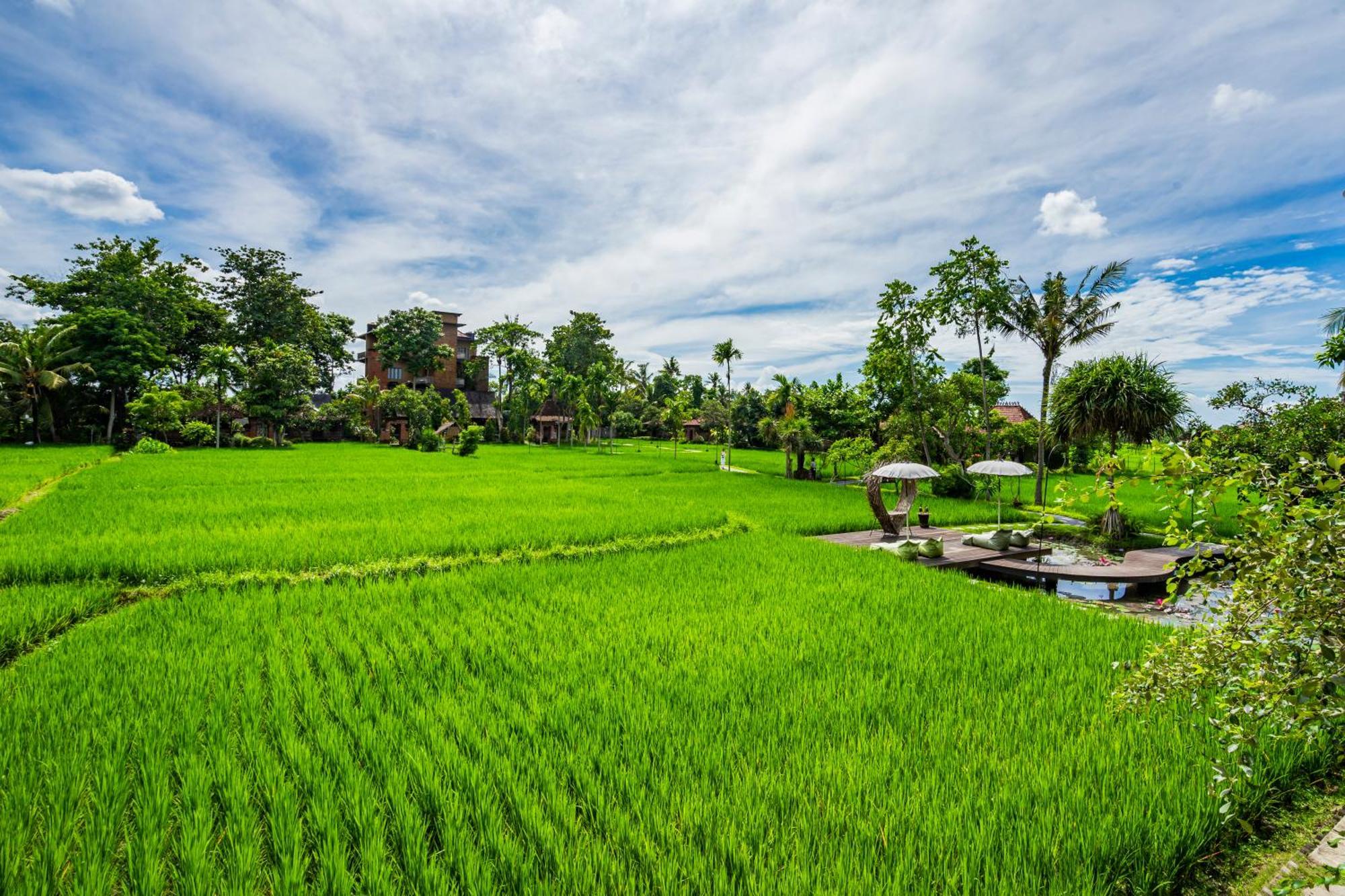 Hotel Kajane Yangloni At Ubud Zewnętrze zdjęcie